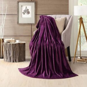 Luxury Ac Blankets (Elegant Bag Packaging) In dark wine red