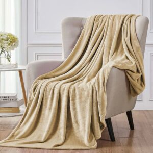 Luxury Ac Blankets (Elegant Bag Packaging) InLight Taupe Color