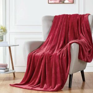 Luxury Ac Blankets (Elegant Bag Packaging) In Burgundy Color