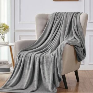 Luxury Ac Blankets (Elegant Bag Packaging) In Silver Gray Color